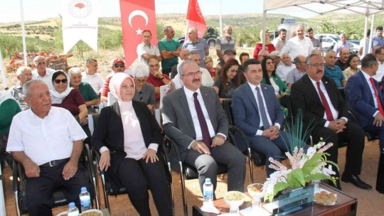 Elazığ'da 20 bin dönümlük alanda badem hasadı başladı