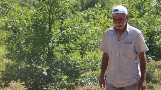 Elazığ'da 3 dönüme ektiği trüf mantarının çıkmasını dört gözle bekliyor