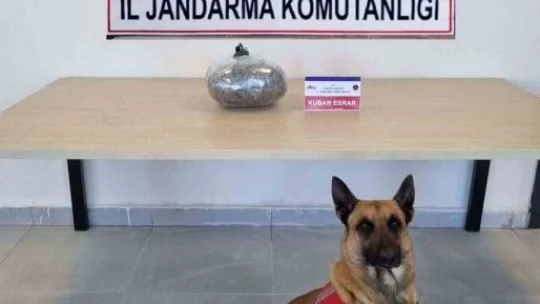 Elazığ'da 3,5 kilo uyuşturucu madde ele geçirildi, 2 kişi gözaltına alındı