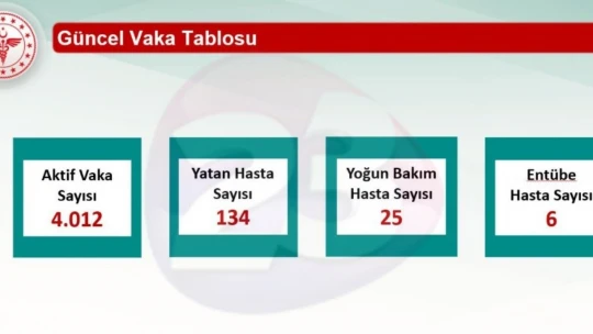 Elazığ'da 4 bin 12 aktif korona virüs vakası bulunuyor