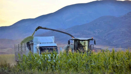 Elazığ'da 4 bin dönümlük alanda silajlık mısır hasadı başladı