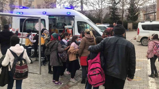Elazığ'da 50 öğrenci hastanelik oldu
