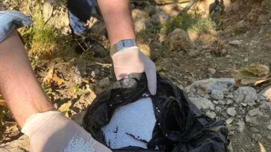 513 kök kenevir bitkisi ele geçirildi