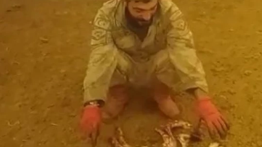 Elazığ'da 8 ayaklı kuzuyu görenler gözlerine inanamadı