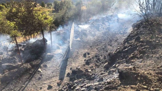 Elazığ'da ağaçlık alanda yangın: Vatandaşlar seferber oldu
