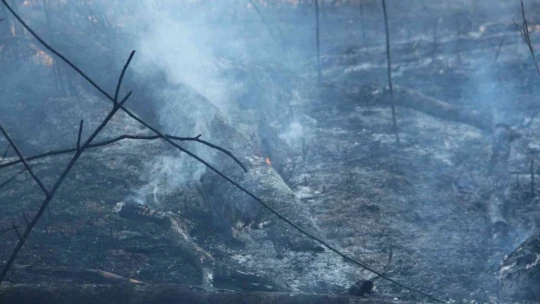Elazığ'da ağaçlık alandaki yangın söndürüldü