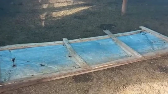 Elazığ'da ağıla giren kurtlar, 53 koyunu telef etti