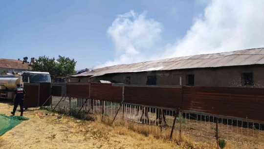 Ahır yangını: 18 büyükbaş kurtarıldı, 30 ton saman yandı