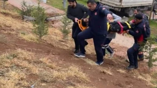 Elazığ'da akıllara durgunluk veren kaza: Kupası açılan kamyonet çocuk parkına daldı