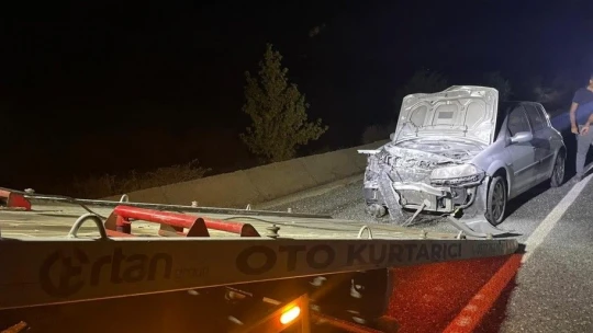 Elazığ'da araç domuz sürüsüne çarptı: 2 yaralı