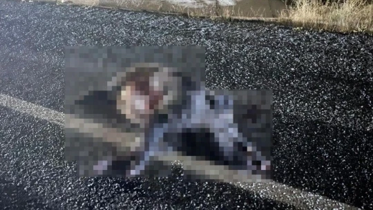 Elazığ'da araç domuz sürüsüne çarptı: 2 yaralı