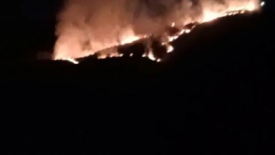 Elazığ'da arazi yangını