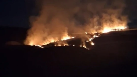Elazığ'da arazi yangını