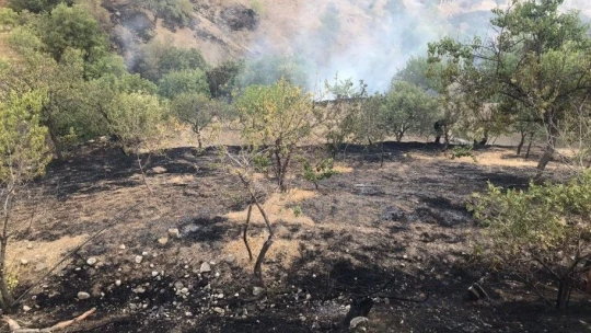 Elazığ'da bahçe yangınında 20 dönüm alan zarar gördü