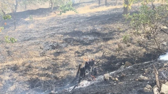 Elazığ'da bahçe yangınında 20 dönüm alan zarar gördü