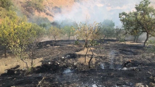 Elazığ'da bahçe yangınında 20 dönüm alan zarar gördü