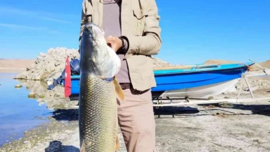 Elazığ'da balıkçı, yarım saatlik mücadelenin ardından dev turnayı olta ile tuttu