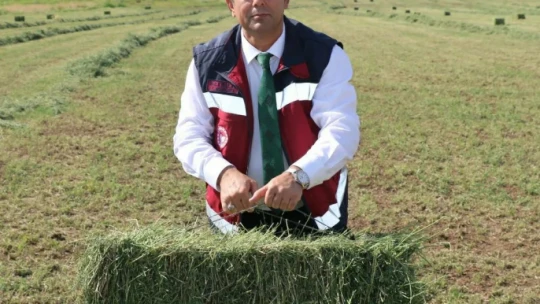 Elazığ'da balyalama mesaisi başladı
