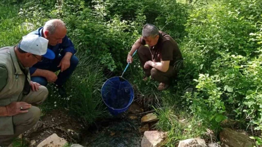 Elazığ'da benekli semender izleme çalışması yapıldı
