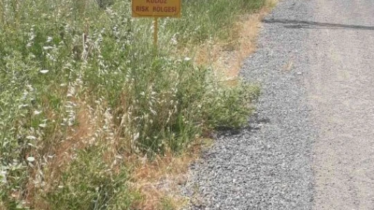 Elazığ'da bir köy kuduz vakasıyla karantinaya alındı