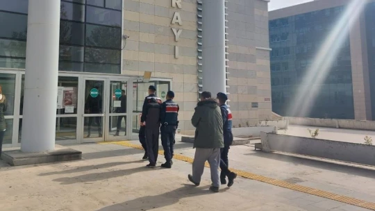 Elazığ'da bir köyü soyan hırsızlar, jandarmaya yakalandı