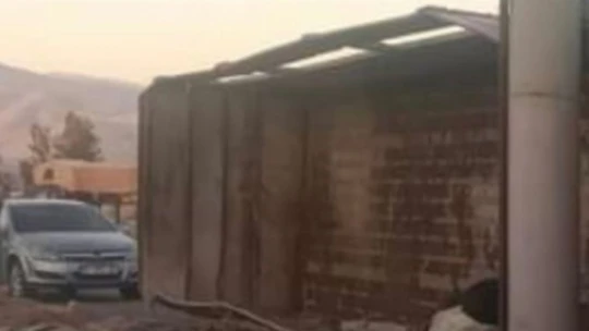Elazığ'da büyükbaş hayvan taşıyan kamyon devrildi, 11 hayvan telef oldu