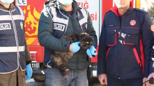 Elazığ'da çatıda mahsur kalan kedi için HAYDİ ve itfaiye ekipleri seferber oldu