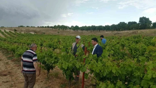 Elazığ'da çiftçiler keneye karşı bilgilendirildi