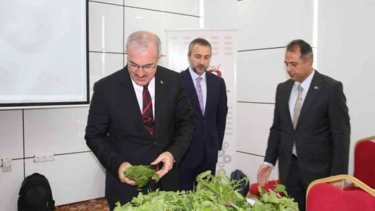 Elazığ'da çiftçilere 20 bin ipekböceği larvası dağıtıldı