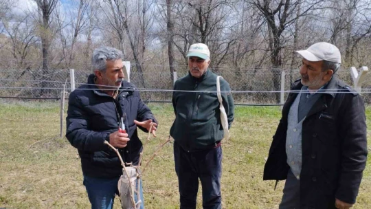 Elazığ'da çiftçilere bağ budama eğitimi