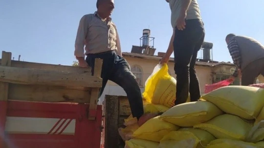 Elazığ'da çiftçilere yüzde 75 hibeli sarımsak tohumu dağıtıldı
