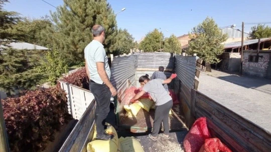 Elazığ'da çiftçilere yüzde 75 hibeli sarımsak tohumu dağıtıldı