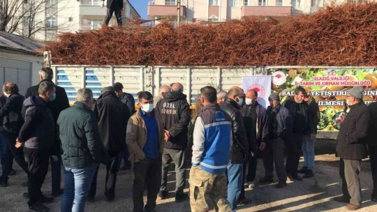 Elazığ'da çiftçiye 68 bin 500 adet badem fidanı dağıtıldı