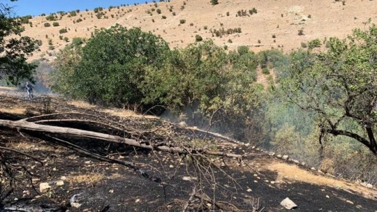 Elazığ'da çıkan yangında bir ev ve bahçeler zarar gördü
