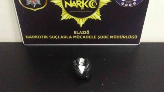 Dedektör köpeği 'Alex' uyuşturucu tacirlerine geçit vermedi: 5 gözaltı