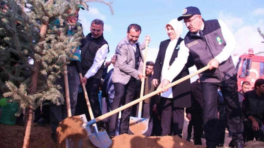 Elazığ'da Devlet Bahçeli Hatıra Ormanı oluşturuldu