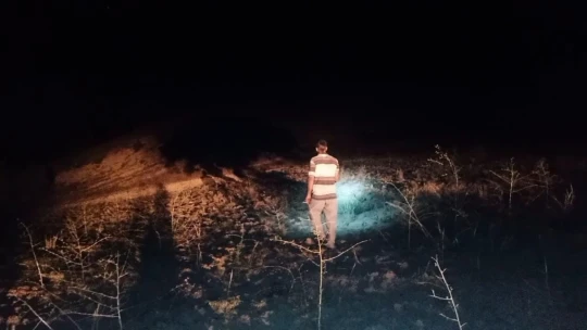 Elazığ'da domuzlar tarlalara dadandı, köylüler nöbet tutmaya başladı