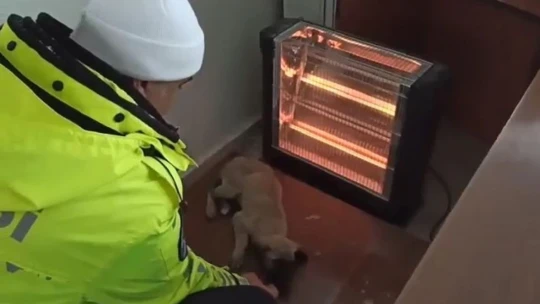 Elazığ'da donmak üzere olan yavru köpeğe polisler sahip çıktı