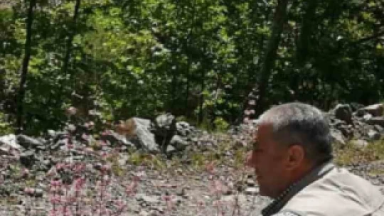 Elazığ'da düğmeli çöven bitkisi izleme çalışması yapıldı