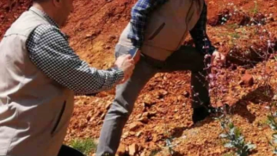 Elazığ'da düğmeli çöven bitkisi izleme çalışması yapıldı
