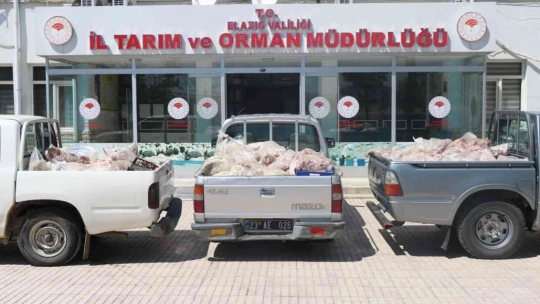 Elazığ'da ele geçirilen çürük etlerin görüntüleri paylaşıldı