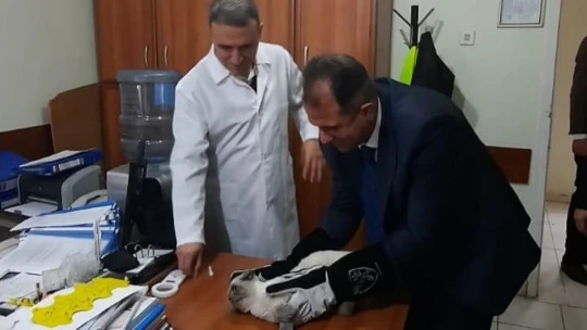 Elazığ'da ev hayvanlarının pasaportlanması ve kuduz aşılaması sürüyor