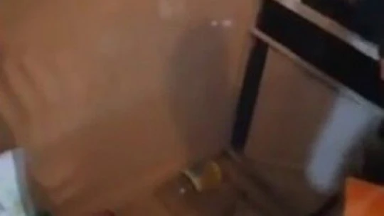 Elazığ'da eve giren yılan paniğe neden oldu