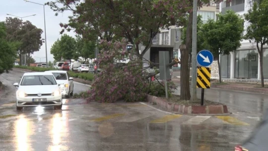 Elazığ'da fırtına sonrası çatılar uçtu, ağaçlar devrildi