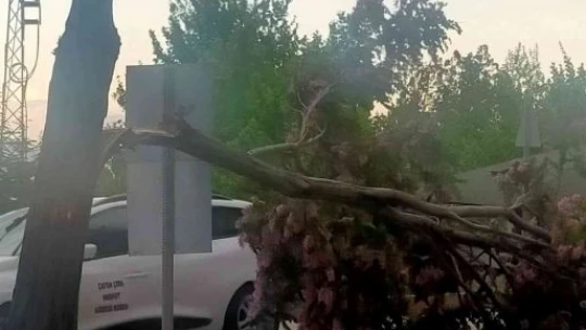 Elazığ'da fırtına sonrası çatılar uçtu, ağaçlar devrildi