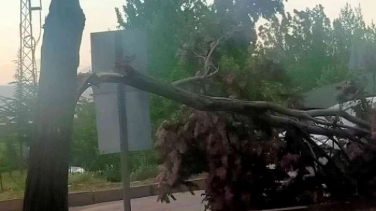 Elazığ'da fırtına sonrası çatılar uçtu, ağaçlar devrildi