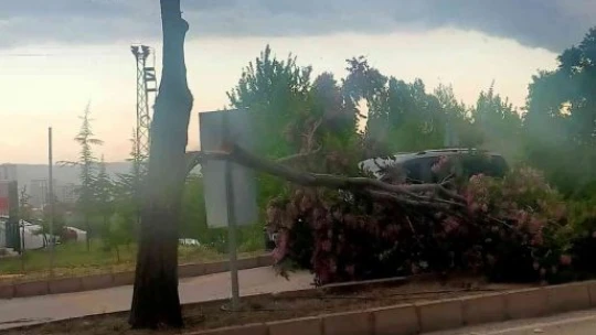 Elazığ'da fırtına sonrası çatılar uçtu, ağaçlar devrildi