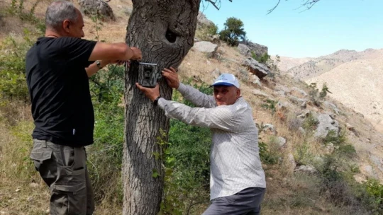 Elazığ'da fotokapanların bakımı yapıldı