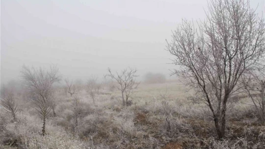 Elazığ'da havuzlar dondu, bayrak buz tuttu