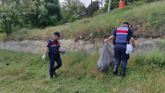 Elazığ'da Hazar Gölü çevresi temizlendi